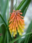 20150508 National Botanic Garden of Wales